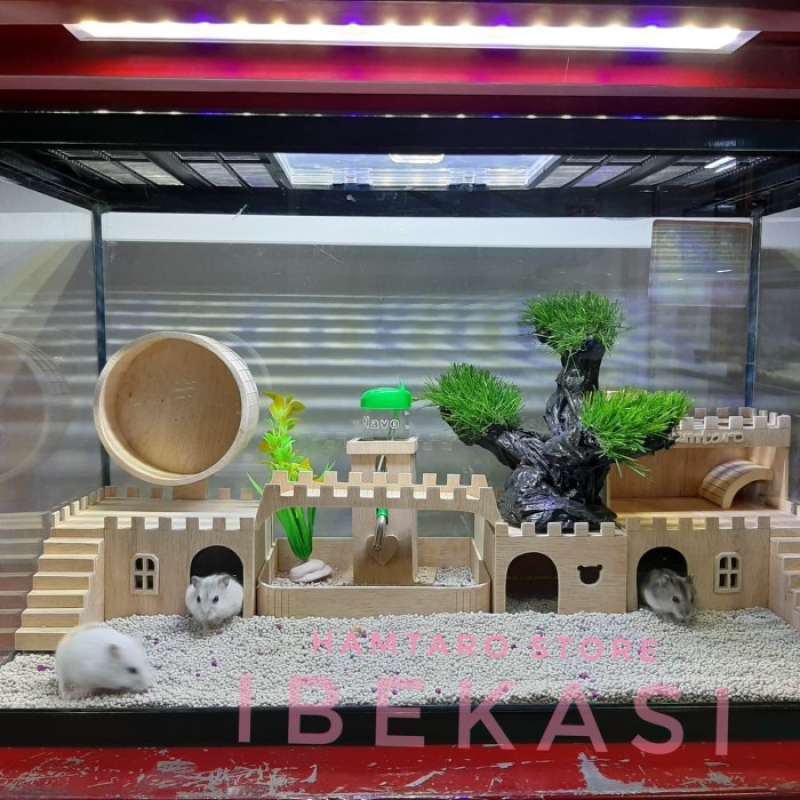 Rumah Hamster Bts: Layanan Cepat, Solusi Tepat di Cilacap